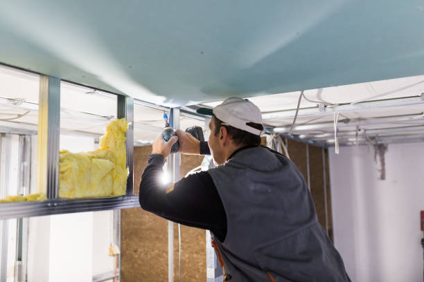 Insulation Repair Services in North Salt Lake, UT